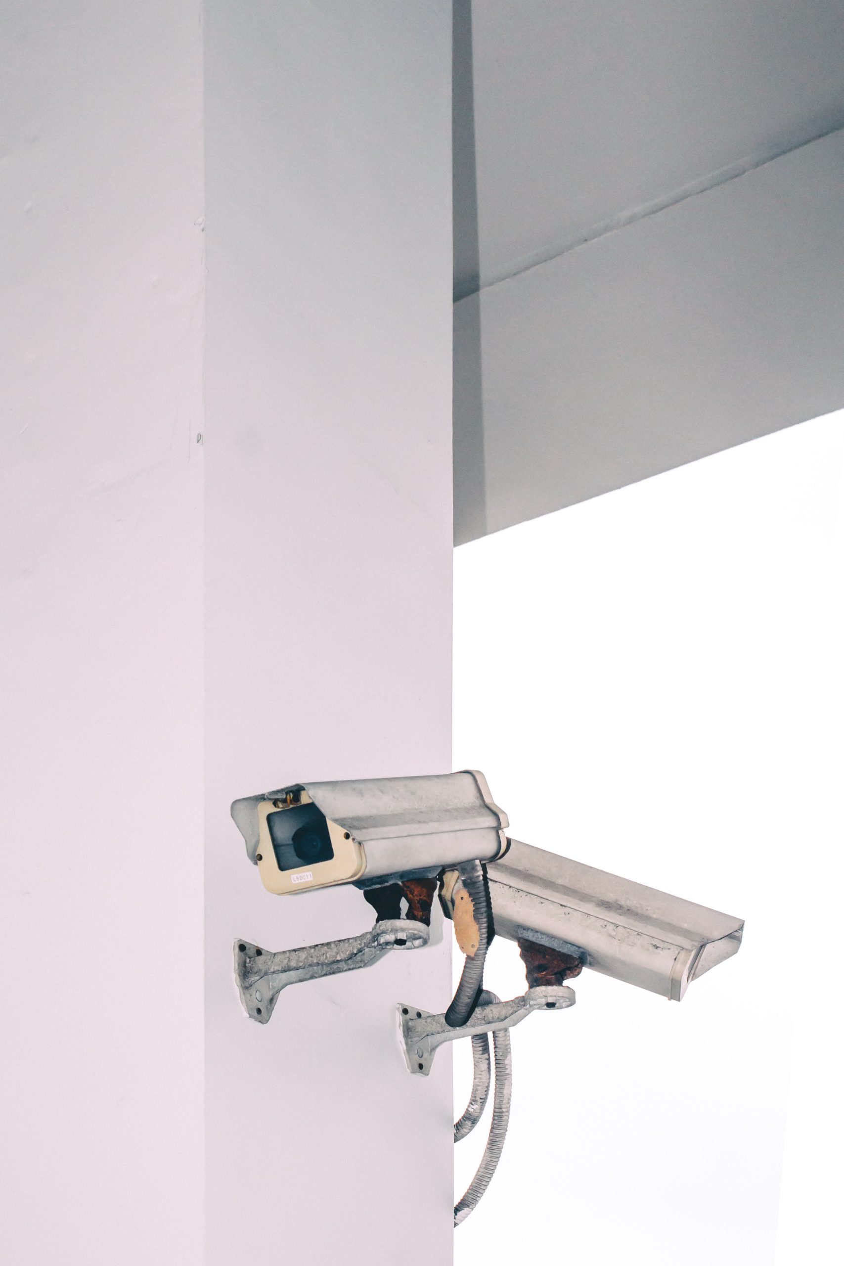 victor-oRZDnS2QkuE-unsplash (2)
